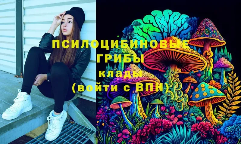 Псилоцибиновые грибы мицелий  Курчалой 